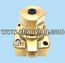 Pneumatic valve 100432466